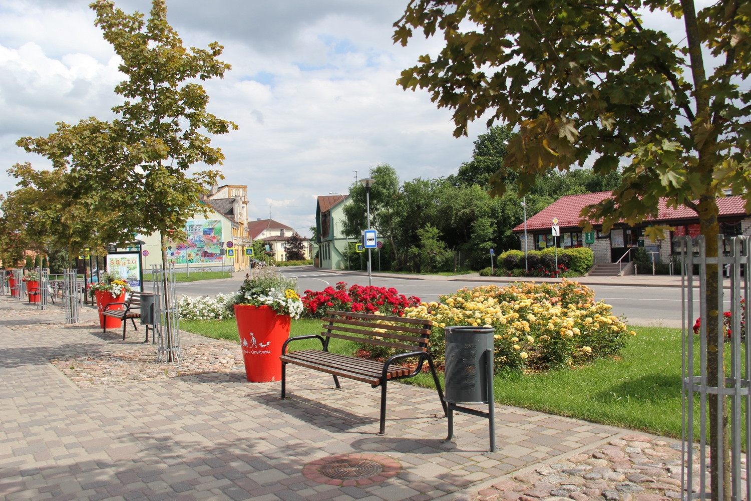 Tukumā krāšņi zied rozes