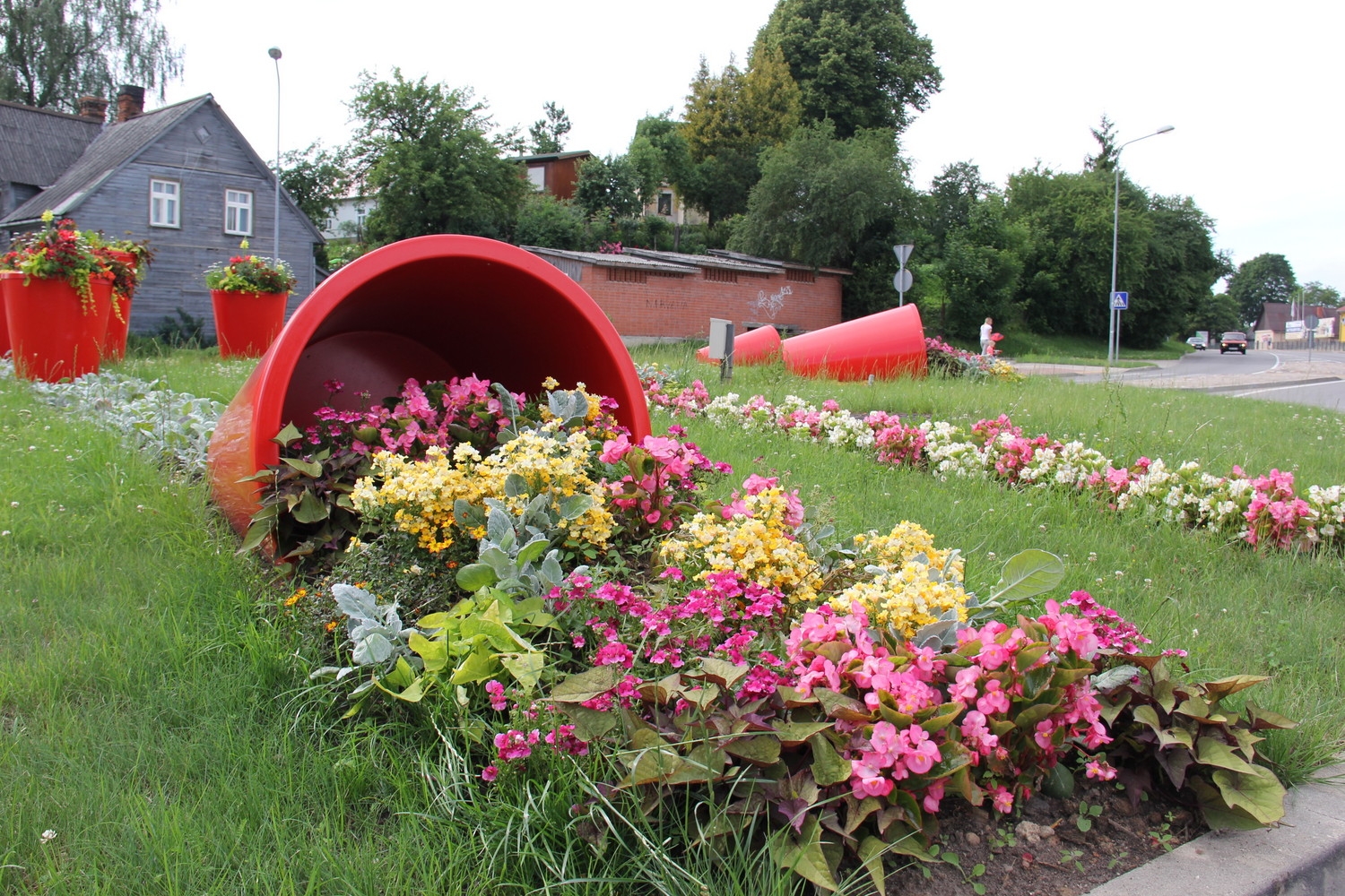 Tukumā krāšņi zied rozes