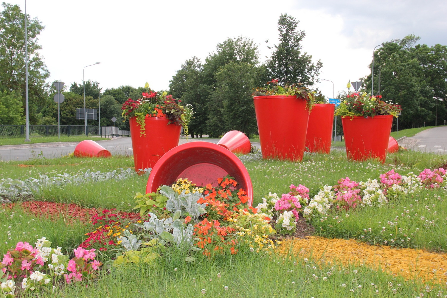 Tukumā krāšņi zied rozes