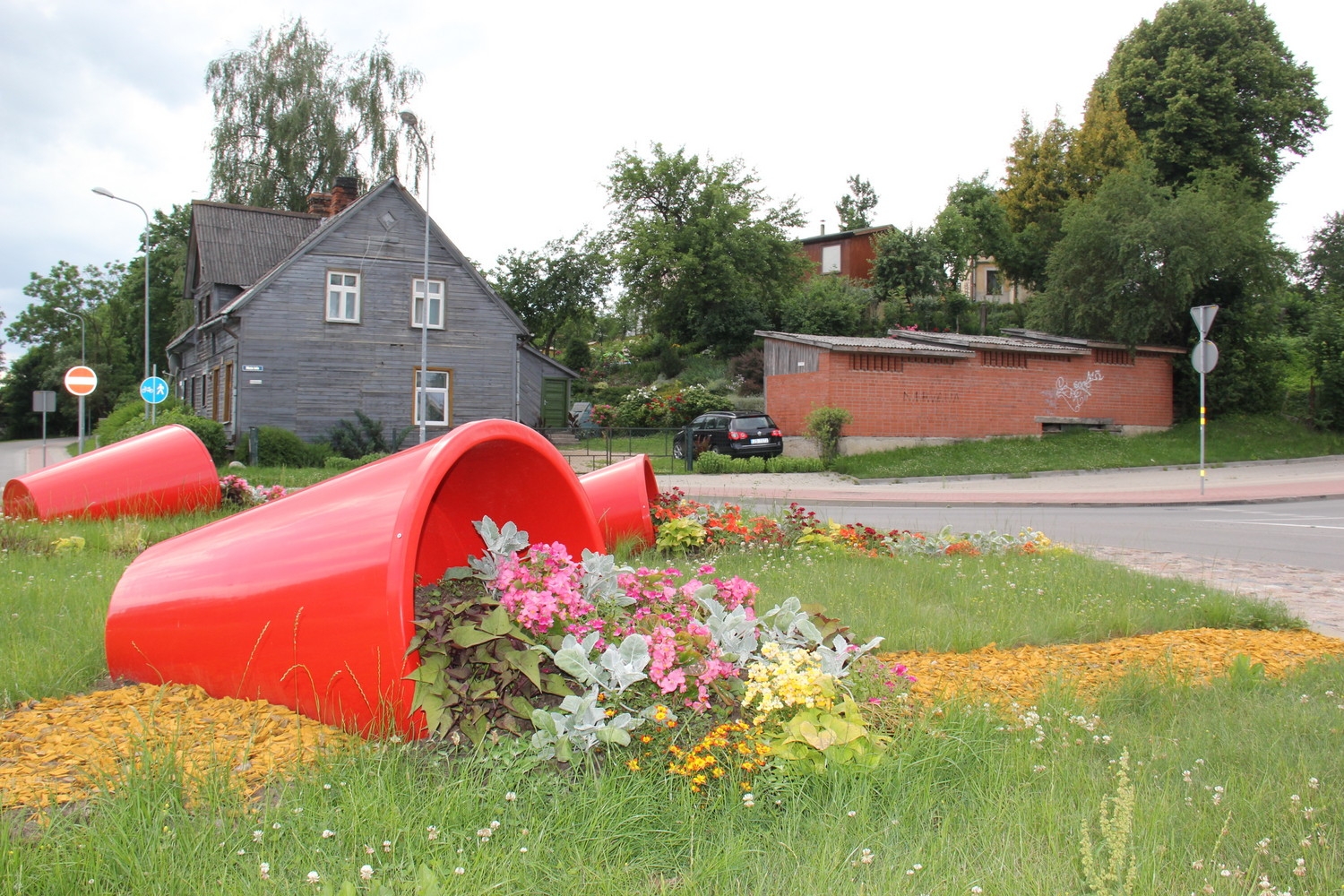 Tukumā krāšņi zied rozes