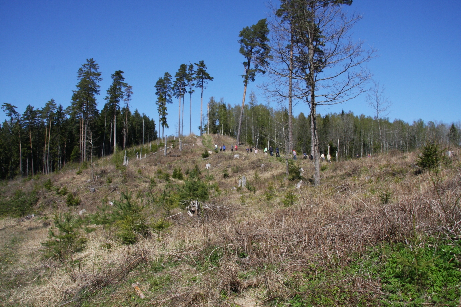 4.maija un Baltā galdauta svētki Tukumā