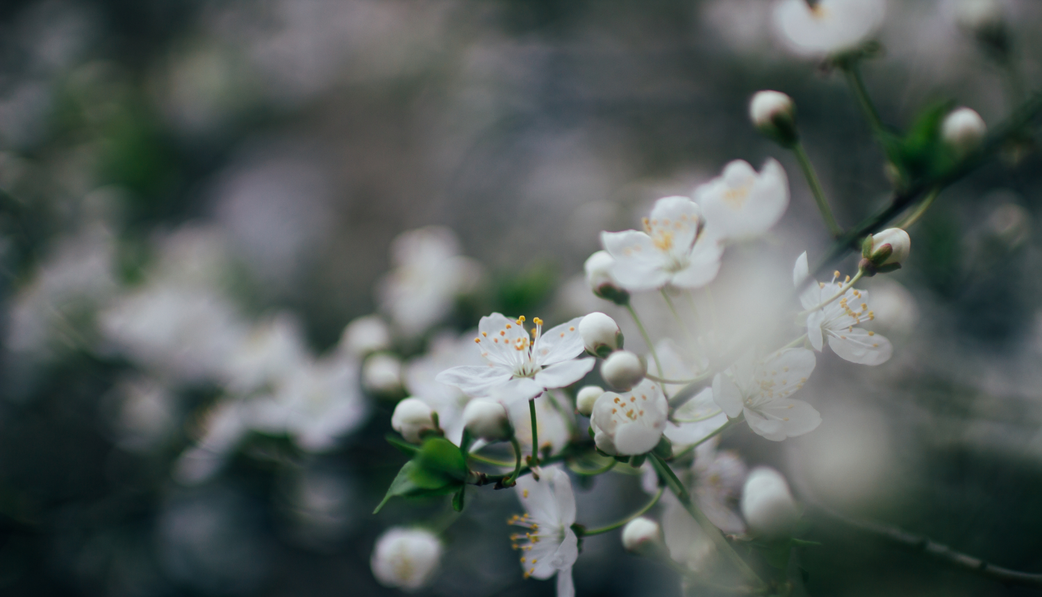 Komunistiskā genocīda upuru ATCERES BRĪDIS 14.06.2020.