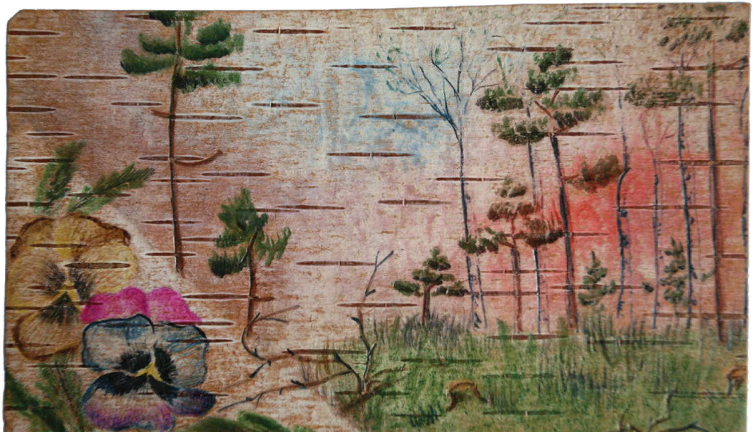 Iekļaušanai UNESCO starptautiskajā reģistrā gatavo projektu „Sibīrijā rakstītās vēstules uz bērza tāss”