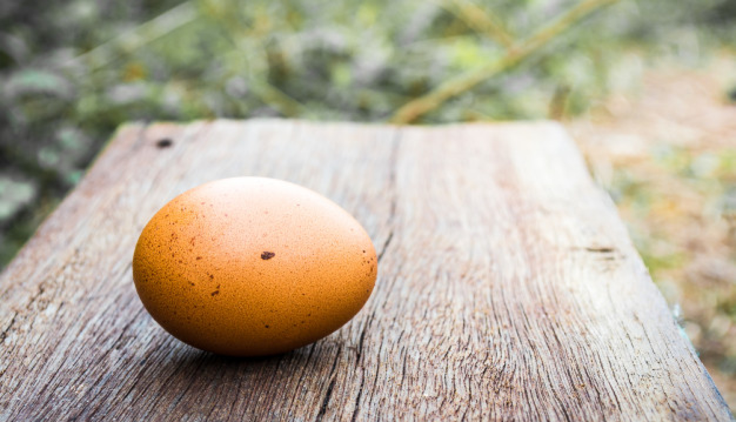 Tukuma novada Domes priekšsēdētājs Ēriks Lukmans skaidro situāciju ar SIA “Gallusman”