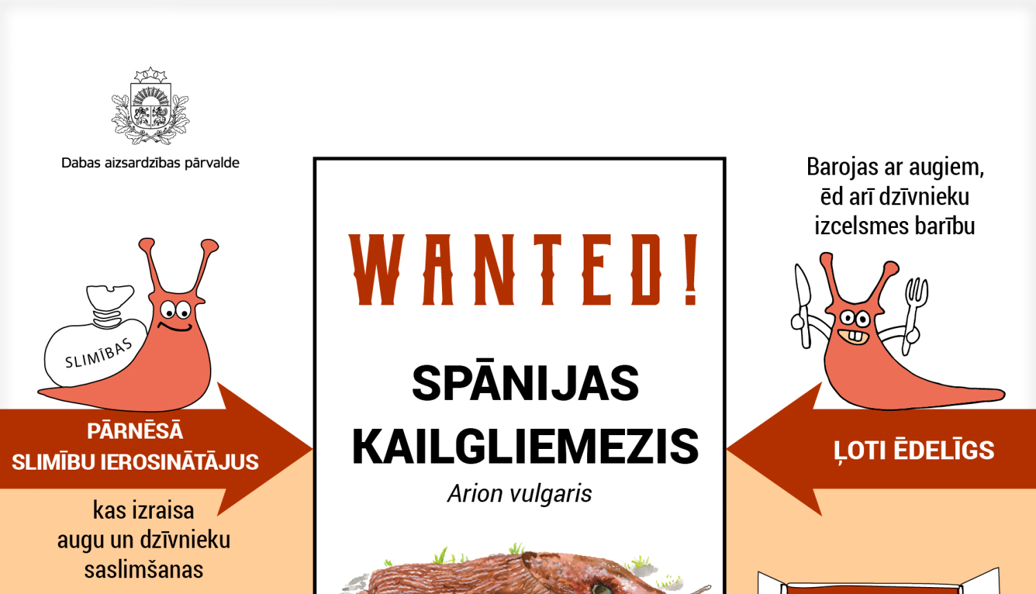 Par Spānijas kailgliemeža izplatības ierobežošanu