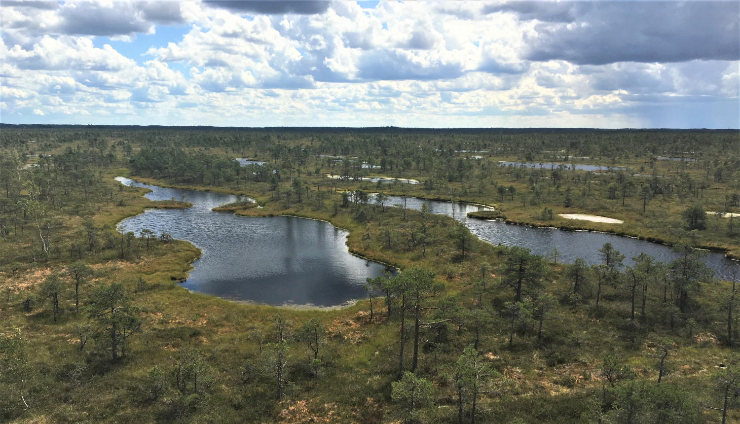 Par Ķemeru Nacionālā parka dabas aizsardzības plāna izstrādes uzsākšanu