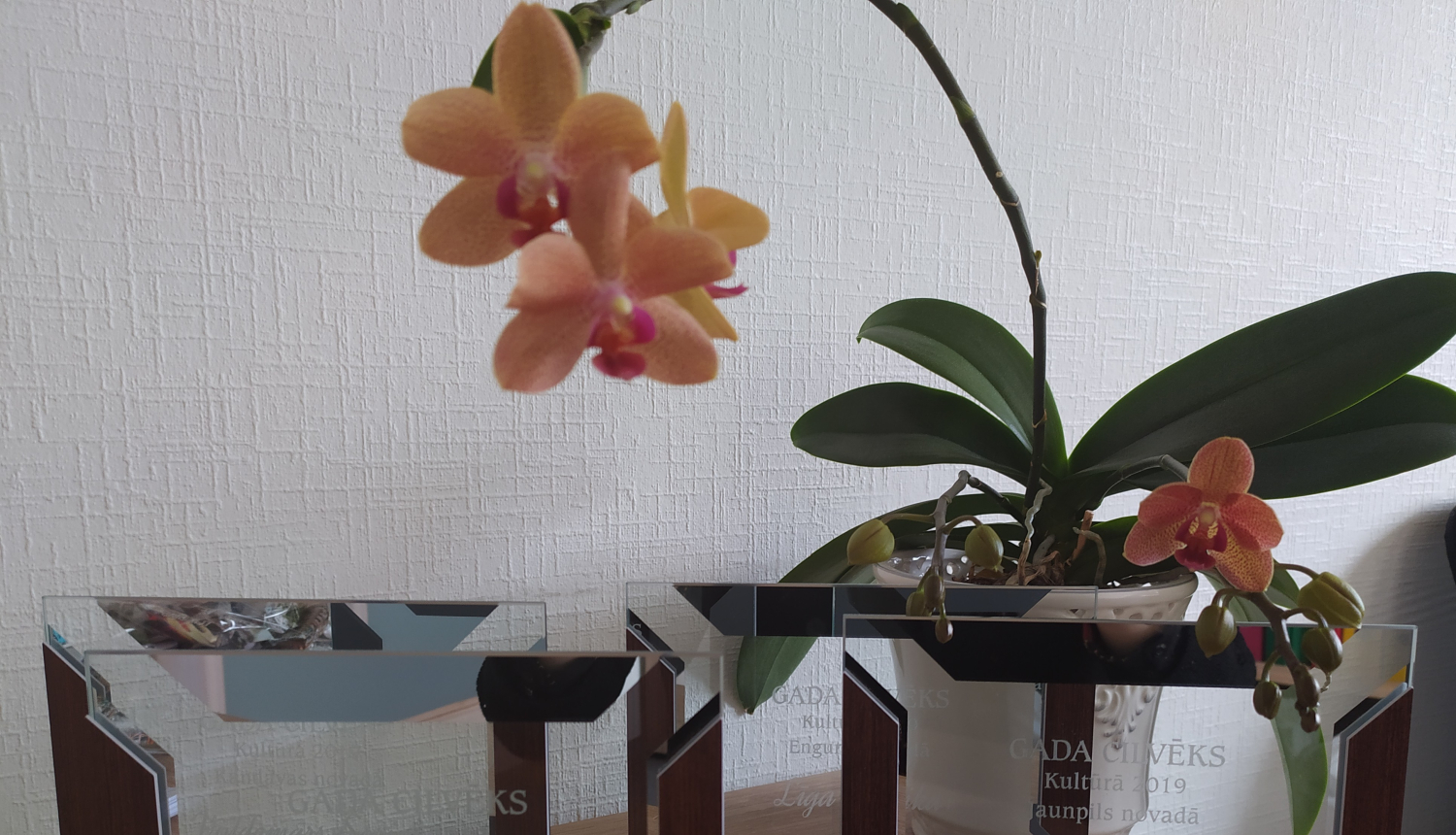 Gada cilvēks kultūrā Tukumā novadā 2019 - Dita Silava