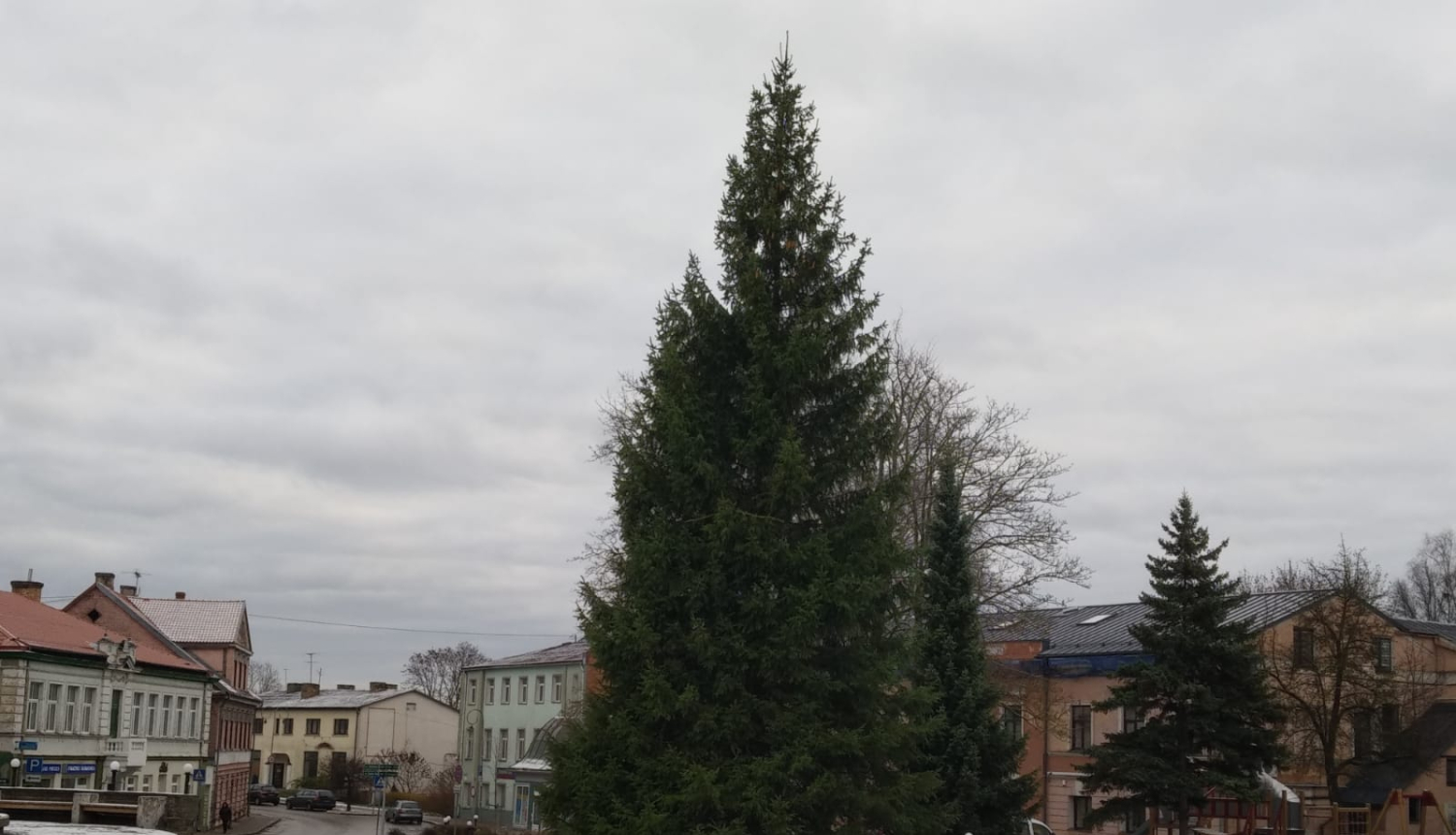 Noskatīta Brīvības laukuma svētku egle