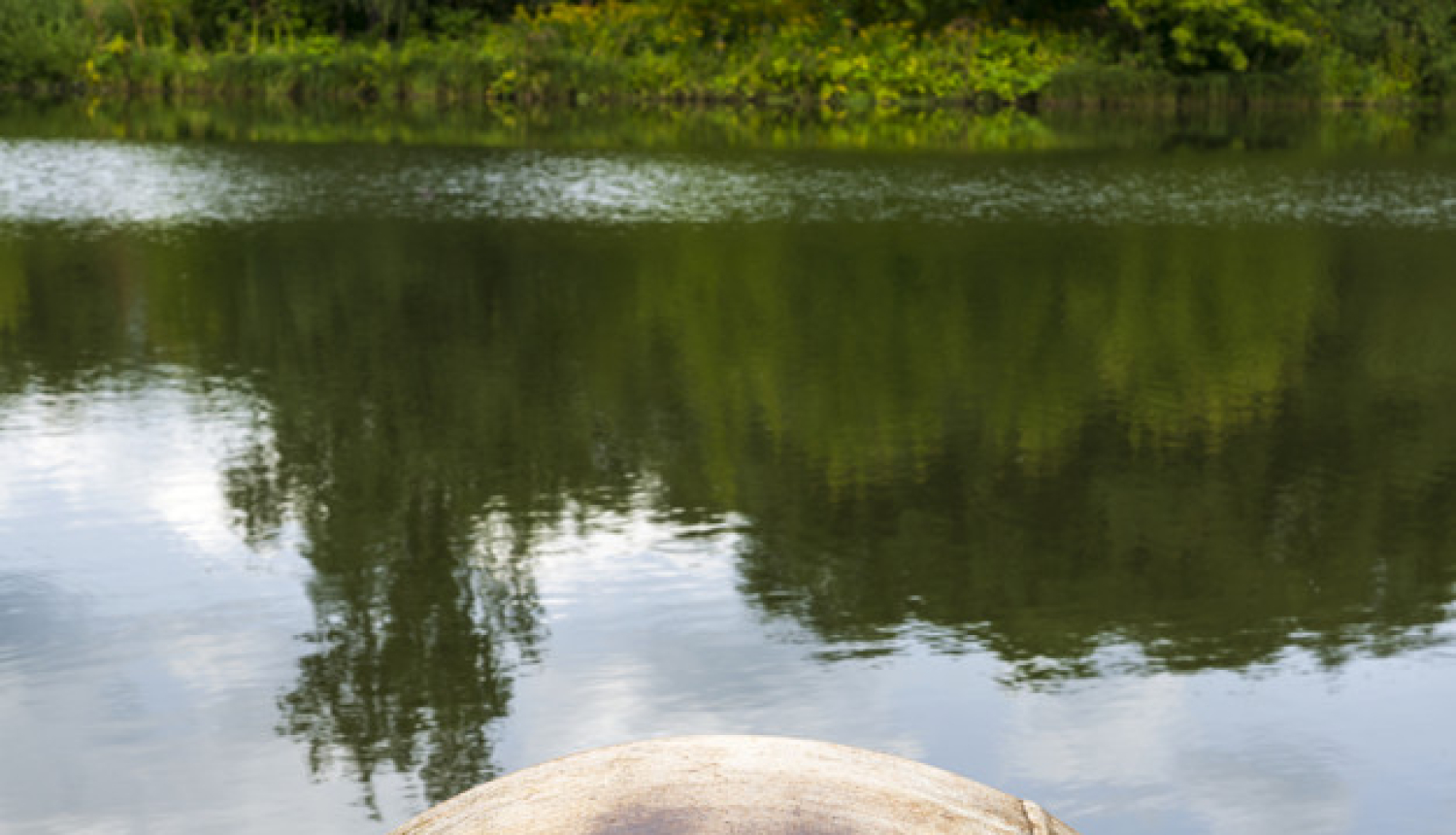 Informācija par notekūdeņiem, ko AS “Tukuma piens” novada centralizētajā kanalizācijā (papildināts)