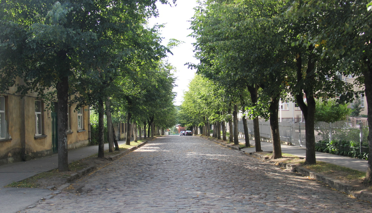 No 4.septembra plānoti būvdarbi J.Raiņa ielā