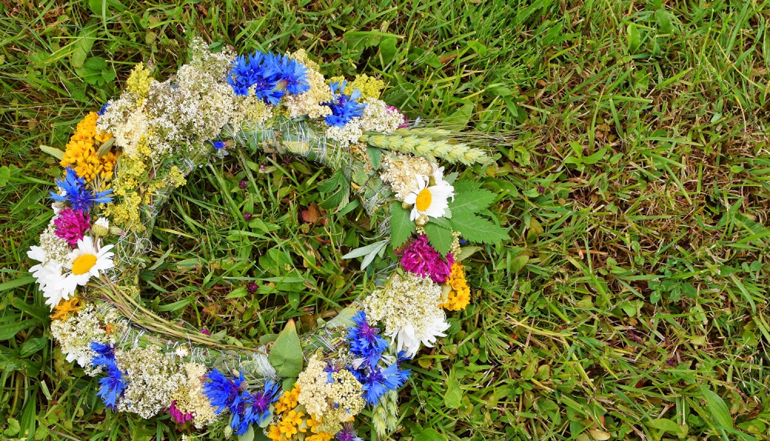 Vasaras saulgriežu svinēšana un lielā ielīgošana Tukumā