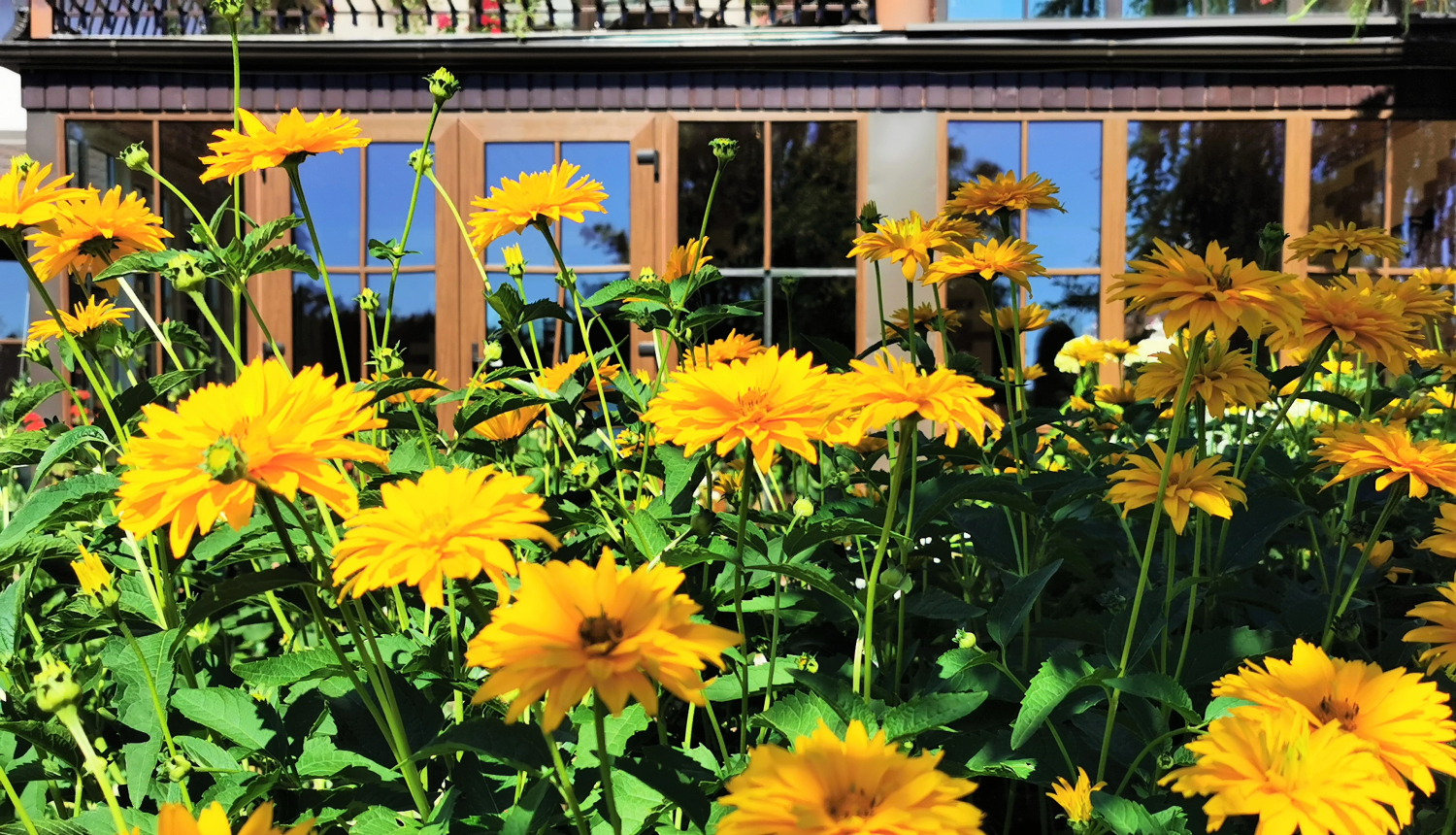 Tukuma smukuma 2020 seminārs atcelts