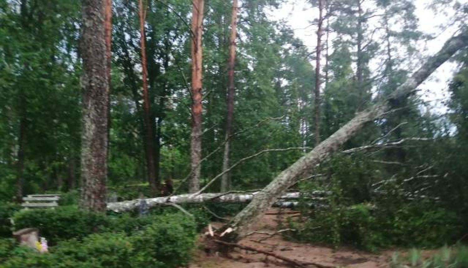 Tukuma un kaimiņu novados tiek apkopoti bojājumi pēc vētras