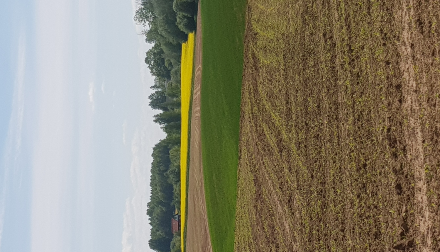 Tukuma novadā tiks veikta kūdraugsnes izplatības precizēšana