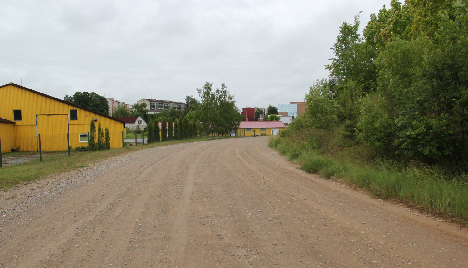 Jūnijā sāksies Tukuma pilsētas ielu apstrāde ar pretputekļu materiālu