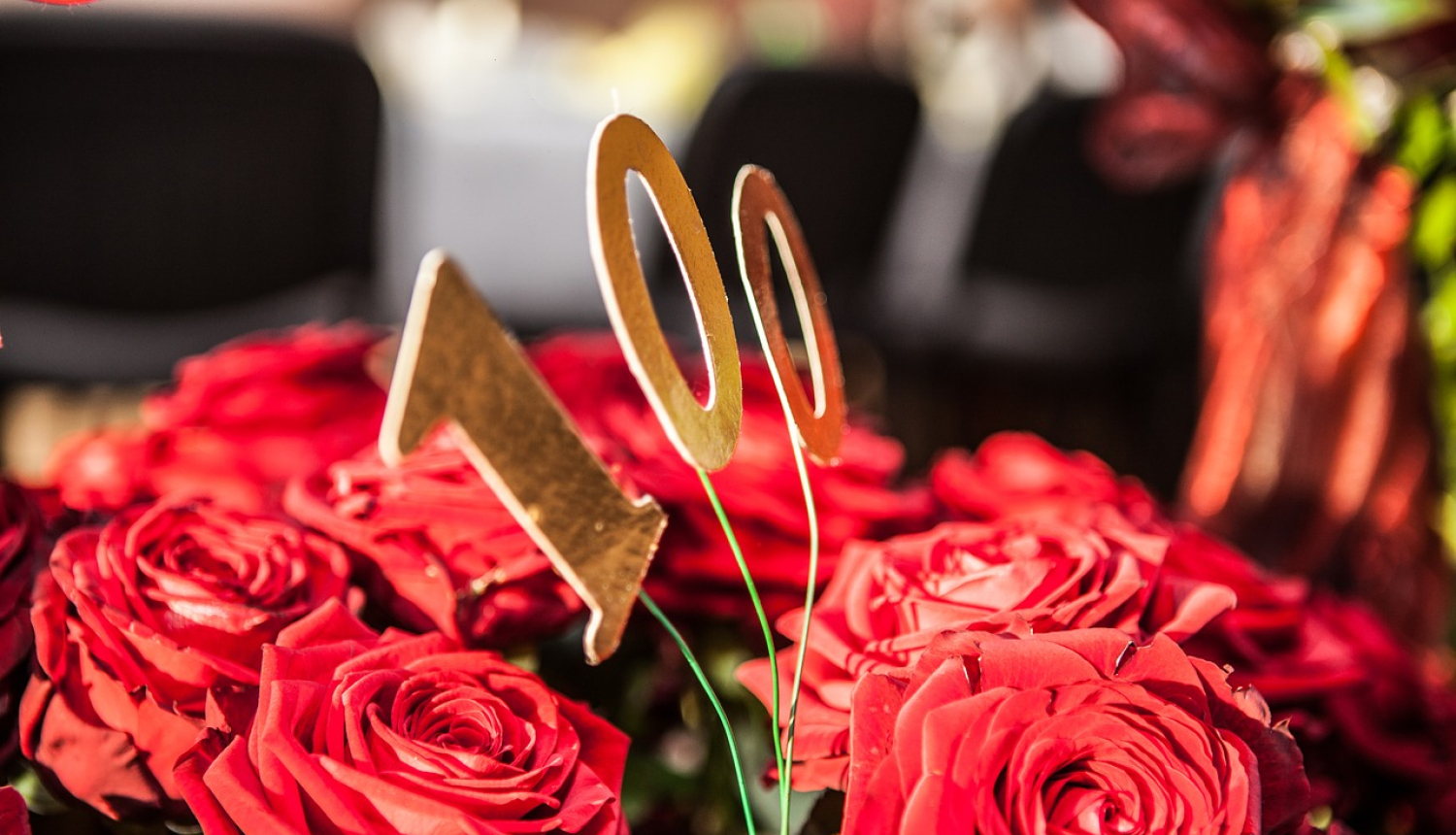 PŪRENIECEI ANNAI VĀRNAI 100