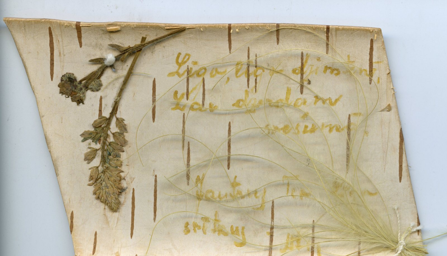 „Pasaules atmiņa”