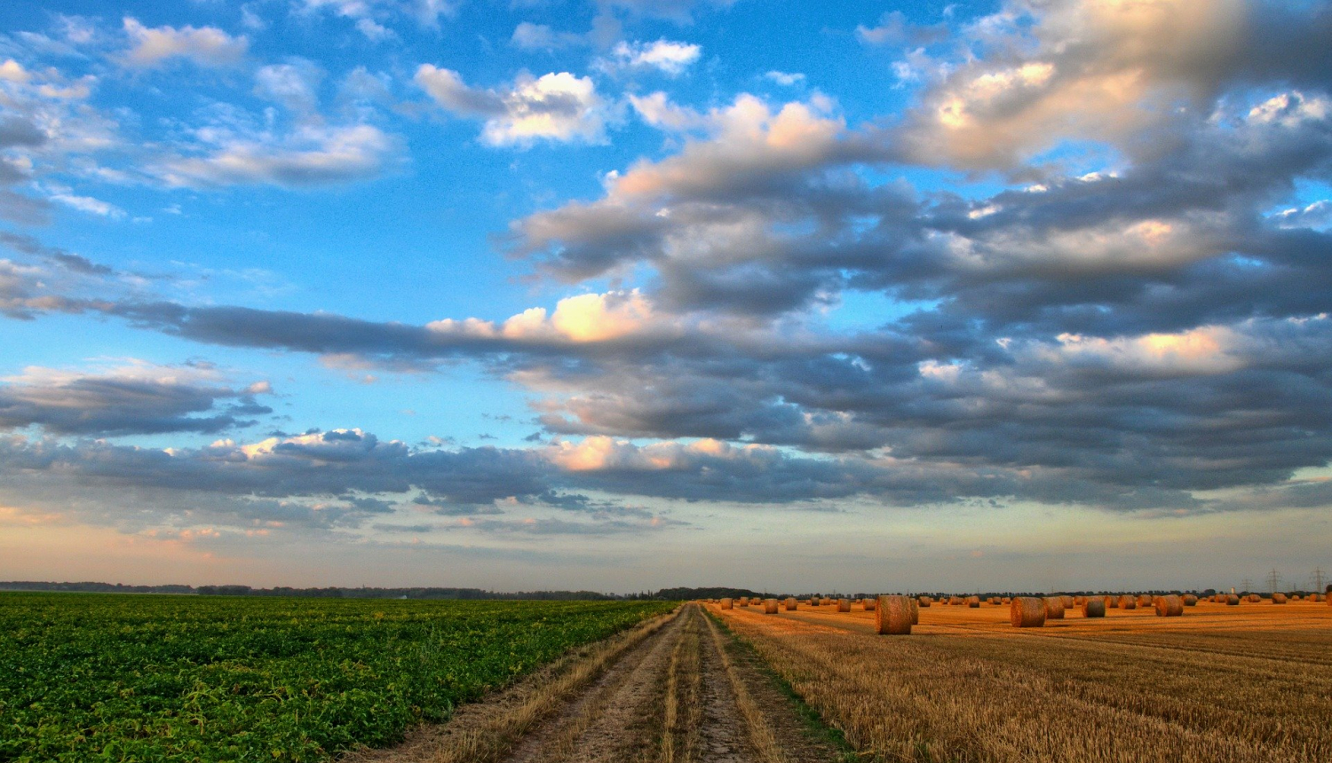 Var saņemt īstermiņa aizdevumu no vienotā platības maksājuma