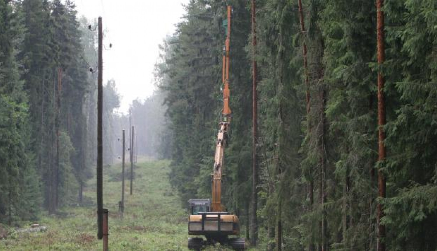 Elektropārvades līnijas trases tīrīšanas darbi