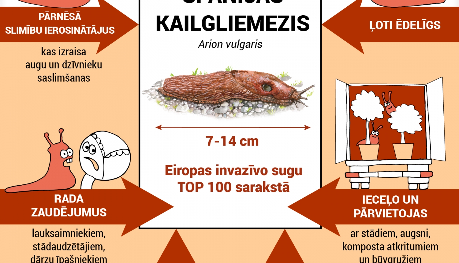 Par Spānijas kailgliemeža izplatības ierobežošanu