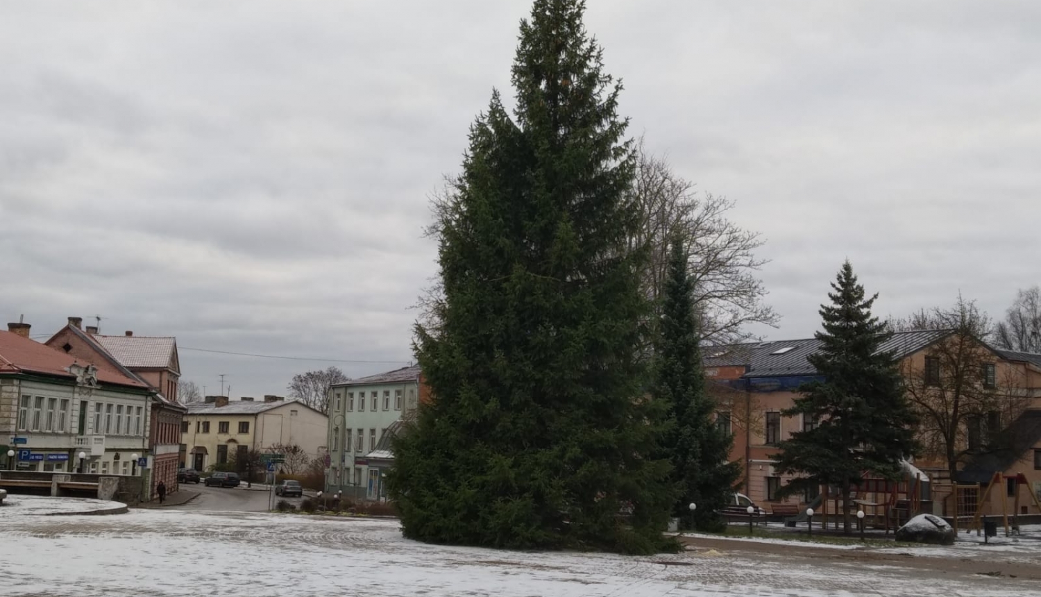 Noskatīta Brīvības laukuma svētku egle