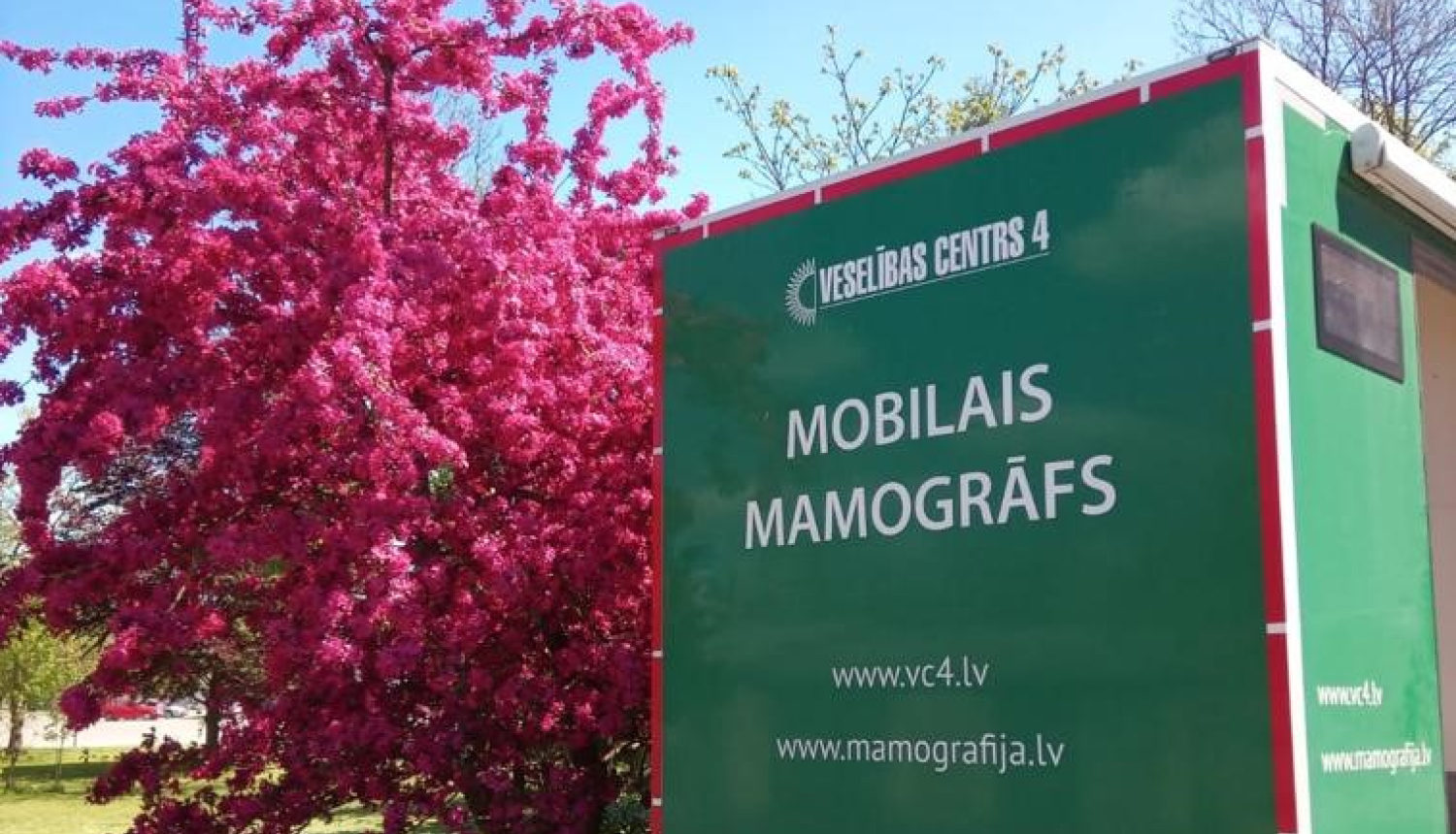 mamografs