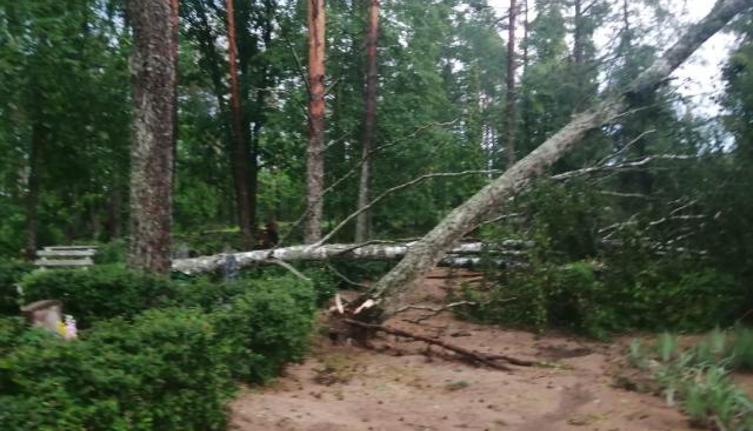 Tukuma un kaimiņu novados tiek apkopoti bojājumi pēc vētras