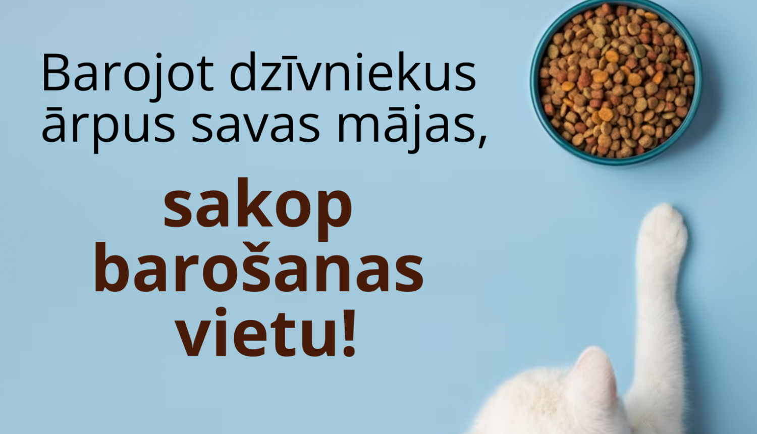kaķi