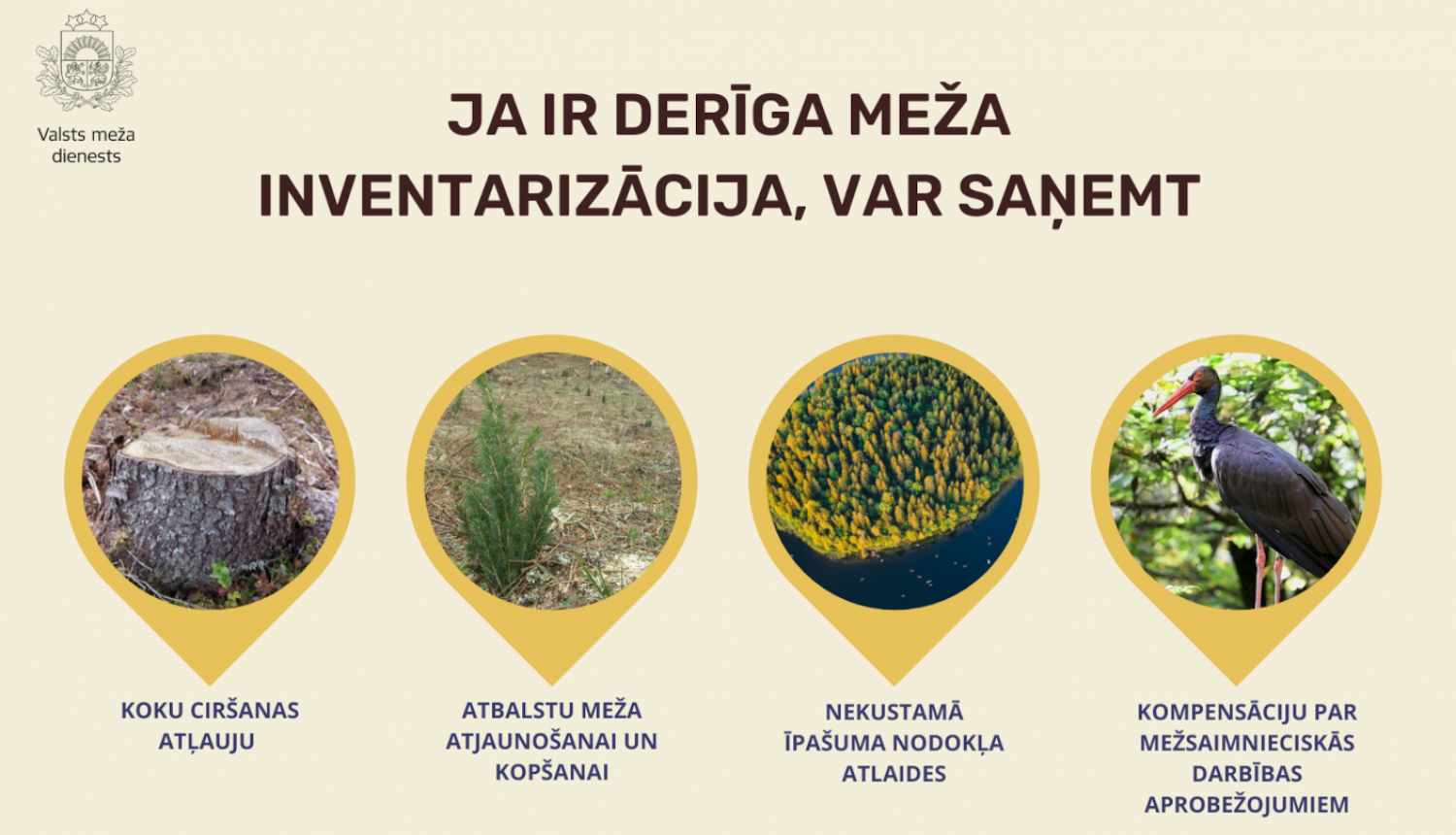 Meža inventerizācija